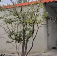 فروش باغ ۱۰۰۰ متری