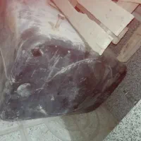 باک خاور|قطعات یدکی و لوازم جانبی|خواف, |دیوار