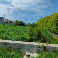 فروش زمین داخل بافت باسندتکبرگ و اقساط ۱۵ماه