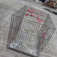 قفس|لوازم جانبی حیوانات|مشهد, نظام دوست|دیوار