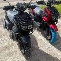 اجاره موتور سیکلت تانک/سفاری فول شارژ روزانه/هفتگی