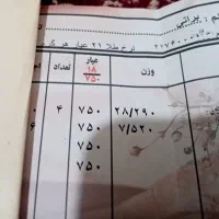 النگوطلا|جواهرات|مشهد, هفده شهریور|دیوار