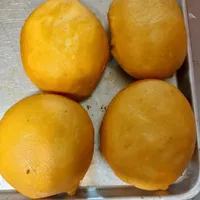 کار در کارگاه فست فود خانوم