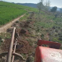 تراکتور فرگوسن مدل 79 تریلی وچاله کن