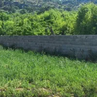 فروش با معاوضه باغ یاسوج بوشهر|فروش دفتر صنعتی، کشاورزی، تجاری|یاسوج, |دیوار