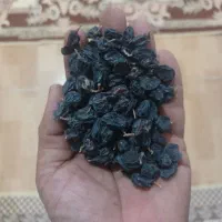 مویز بدون هسته وباهسته  سوپر لوکس