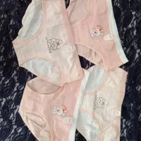 لباس زیر|لباس|سبزوار, قصبه شرقی|دیوار