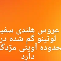 عروس هلندی گم شده