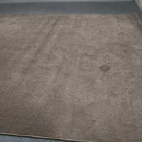 موکت پرز بلند پالاز|موکت|مشهد, گلبرگ|دیوار