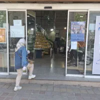 همکار جهت کار در سبزی خوردکنی