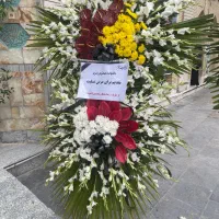 گلفروشی گلسنگ