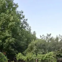 اجاره ویلا  نجوبران بیستون