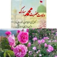 فروش ویژه گلاب ناب محمدی به مناسبت ولادت پیامبر ص