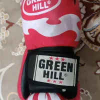 دستکش بوکس اصلی|تجهیزات ورزشی|شیراز, باهنر|دیوار