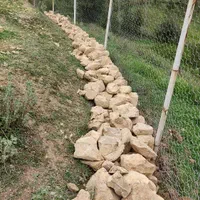2800 متر زمین داخل بافت -ویو ابدی- روستای سنگ نیشت|فروش زمین و ملک کلنگی|زیرآب, |دیوار