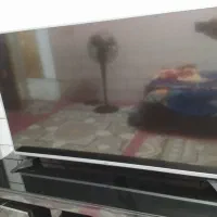 تلویزیون