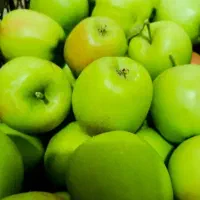 خرید سیب زیر درختی