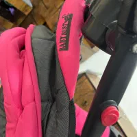 کالسکه دلیجان|کالسکه و لوازم جانبی|شیراز, گویم|دیوار