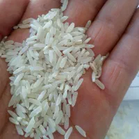 پخش عمده برنج تایلندی اروگوئه وهومالی|خوردنی و آشامیدنی|کرمانشاه, |دیوار