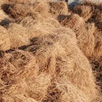 یونجه|حیوانات مزرعه|تبریز, |دیوار