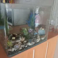 شیشه اکواریوم شرکتی با تخفیف ویژه