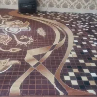 گلیم فرش|گلیم، جاجیم، گبه|مرودشت, مختارآباد|دیوار