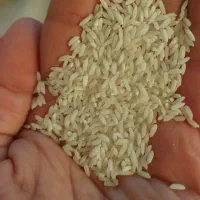 حراج حراج|حراج|سنندج, |دیوار