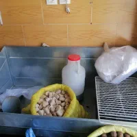 پالت خشکبار