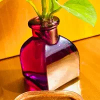 رنگینک تک نفره