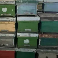 کندو دسته دوم به قیمت