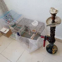 وسایل قلیان کامل پرنده با قفس