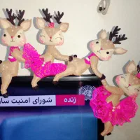 روتی وی زیبای  ال ای دی