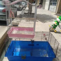 دوعد قفس