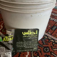 وسایل ارایشگاه|آرایشگاه و سالنهای زیبایی|کاشان, فاز ۲ ناجی آباد|دیوار