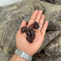 شیره کشمش قند بالا