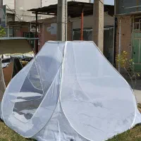 آفتابگیر|کوهنوردی و کمپینگ|شوشتر, |دیوار