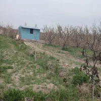 فروش باغ و باغچه شیخ سرمست و معاوضه