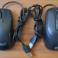 ۲ عدد موس سالم