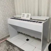 پیانو حرفه ای