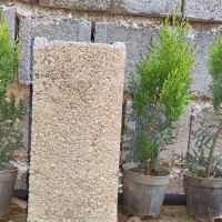 نشا کامیس نوکدار