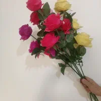گل رز