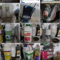 کود و سم باغداری پسته