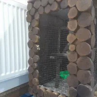 قفس چوبی|لوازم جانبی حیوانات|کرمان, |دیوار