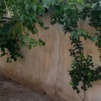 فروش ۲ باغ دستجرد خلجستان