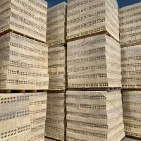 انواع آجر  اصفهان|مصالح و تجهیزات ساختمان|لار, |دیوار