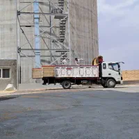 گندم پیشگام بذری بوجاری شده