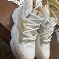 کتونی سایز۴۲|کیف، کفش، کمربند|پرند, فاز ۶|دیوار