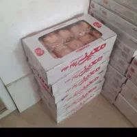 همکاری،شراکت وسرمایهگذاری مطمئن در بازار|استخدام مالی، حسابداری، حقوقی|قم, پردیسان|دیوار