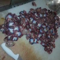 سنگدان درشت قرمز درجه یک|خوردنی و آشامیدنی|تهران, تهرانپارس غربی|دیوار