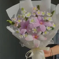 کادو روز دختر|گل و گیاه طبیعی|کوهدشت, |دیوار